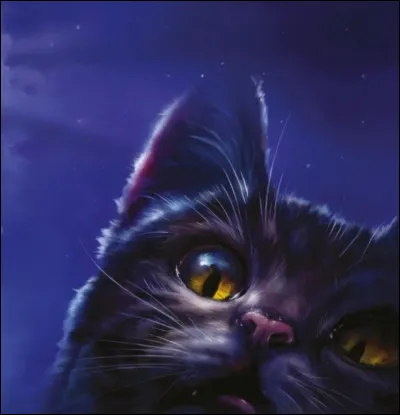 Pour finir quelle est la couleur de tes yeux ?