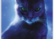 Quiz Vrai ou faux - LGDC !