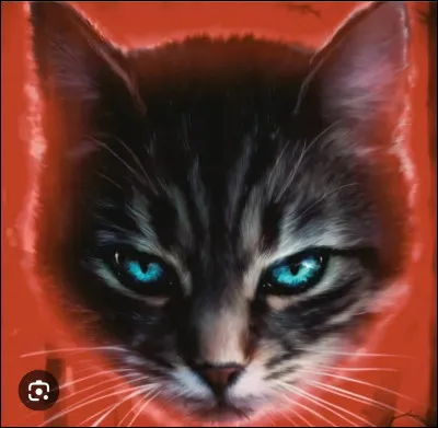 L'imposteur n'est d'autre que Pelage de Granit .