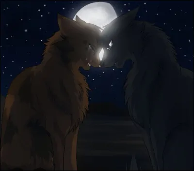 Plume de Jais et Feuille de Lune sont revenus aupr&egrave;s des clans car ils ne supportaient pas de vivre sans leur Clan .