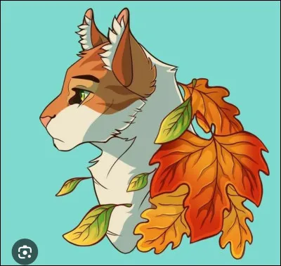 Feuille Morte a &eacute;t&eacute; assassin&eacute; dans les tunnels .