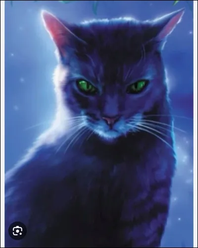 Ombre Noire n'a re&ccedil;u que seulement 8 vies .