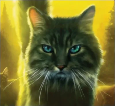 Pelage de Silex est le fr&egrave;re d'&Eacute;toile de Brume .