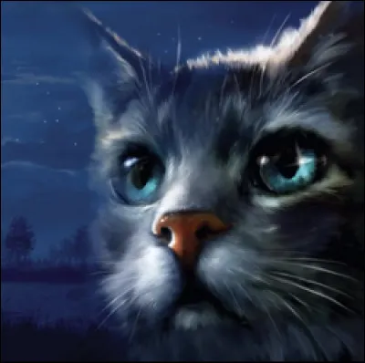 La femelle sur l'image repr&eacute;sent&eacute;e est Jolie Plume .