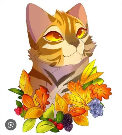 Patte de Pierre est devenu gu&eacute;risseur.