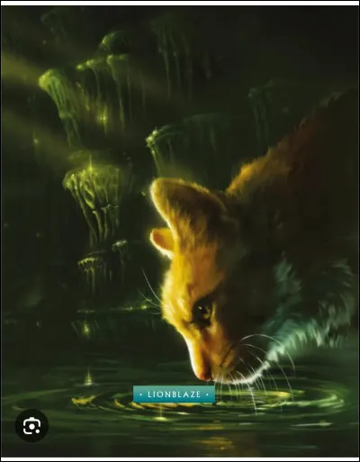 Pelage de Lion n'a jamais aim&eacute; Feuille de Houx apr&egrave;s son crime .