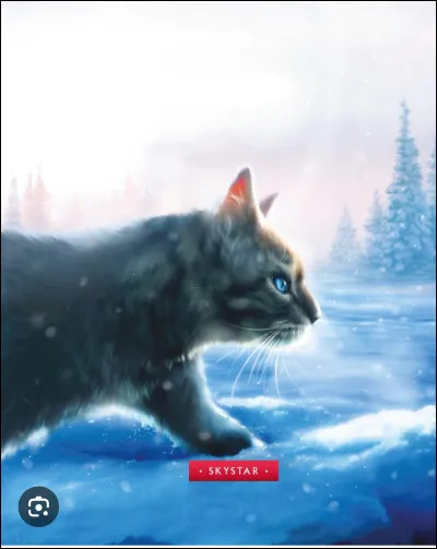 De ses trois compagnes, Ciel Bleu n'en a aim&eacute; que deux .