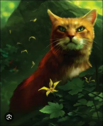 Le p&egrave;re de Fleur d'&Eacute;toile est Borgne .