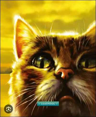 Feuille de Lune a trahi le code du Guerrier .