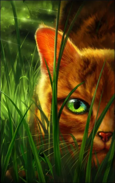 La m&egrave;re d'&Eacute;toile de Feu s'appelle Noix de Muscade .