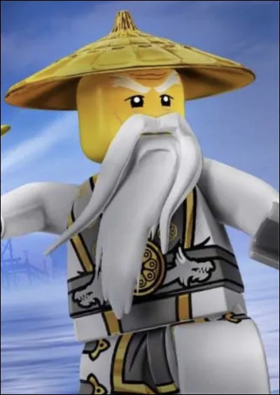 Commen&ccedil;ons par la base : qui a entra&icirc;n&eacute; les ninjas ?