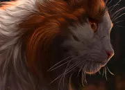 Quiz Quiz sur Ombre d'�rable