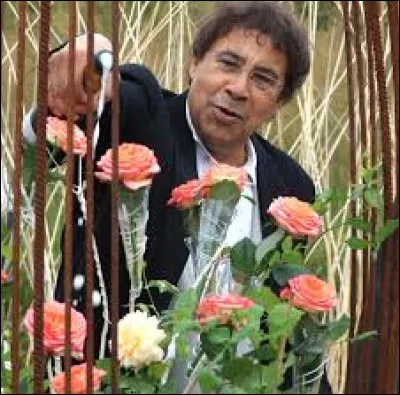 Quel pouvoir chante Laurent Voulzy dans une de ses chansons ?