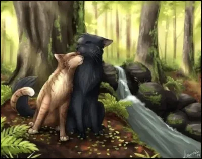 /spoil/Qui sont les parents de Feuille de Houx, Pelage de Lion et �il de Geai ?