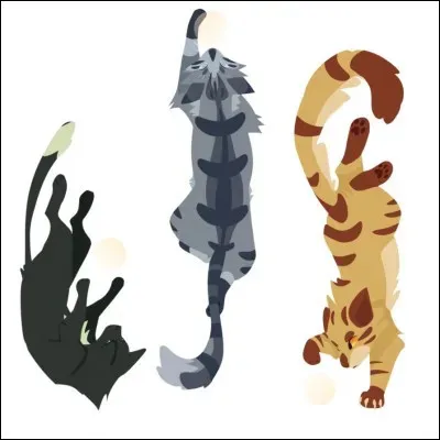 /spoil/Qui sont les trois ?