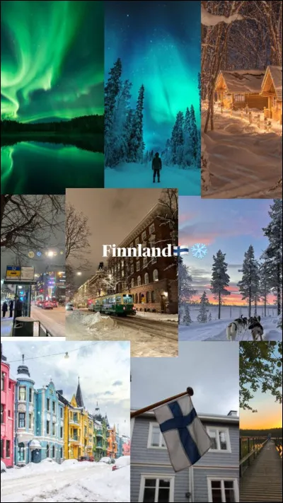 Quelle couleur ne figure pas sur le drapeau finlandais ?