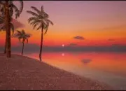 Quiz Culture g�n�rale - Avant ou apr�s ? (2)