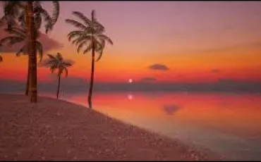 Quiz Culture g�n�rale