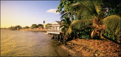 Comment r&eacute;agissent-ils ?