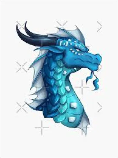 Que se passe-t-il apr&egrave;s &ccedil;a ?