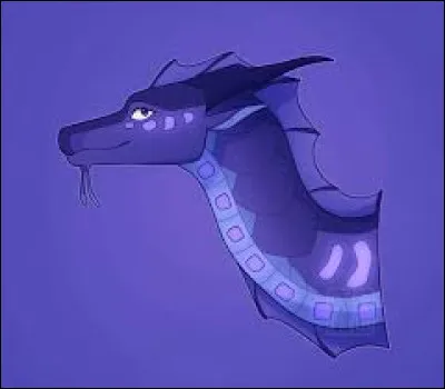 Quel cadeau Percevague lui a-t-il fabriqu&eacute; gr&acirc;ce &agrave; la magie animus ?