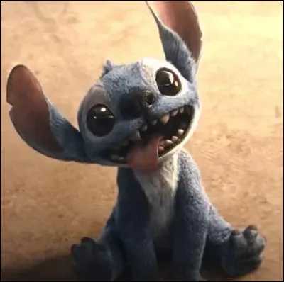 Qui est le chanteur ou la chanteuse pr&eacute;f&eacute;r&eacute;(e) de Lilo ?