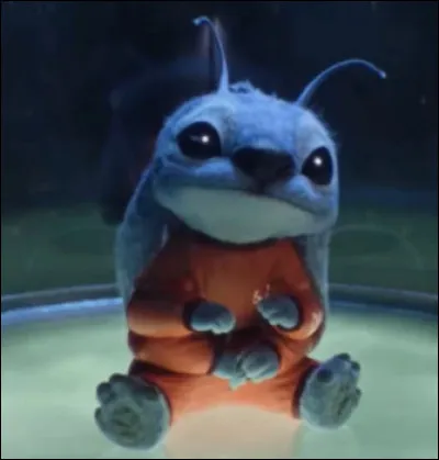Quel est l'animal qui assiste au crash de Stitch ?