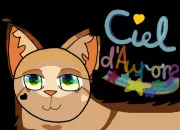 Quiz Conaissez-vous bien le cycle 7 (livre 1 au 4)