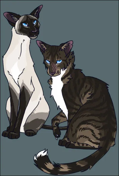 Revenu &agrave; son Clan, Nuage de Racine veut aller porter une proie &agrave; Soie de Gel, est-ce vrai ?