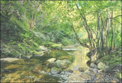 Racines des Sources et Soie de Gel sont dans un arbre, puis, Racine des Sources avoue ses sentiments, depuis qu'elle l'a sauv&eacute; de la noyade.Est-ce que Soie de Gel &agrave; des sentiments pour le matou jaune ?