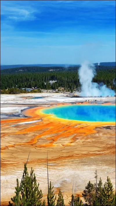 Quel parc national est connu pour ses geysers impressionnants ?
