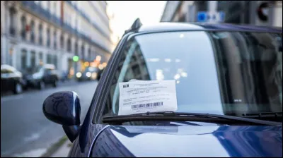 Et un notodonte, qu'est-ce que c'est ?