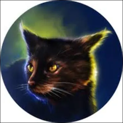 Laquelle a d&eacute;j&agrave; tu&eacute; un f&eacute;lin ?