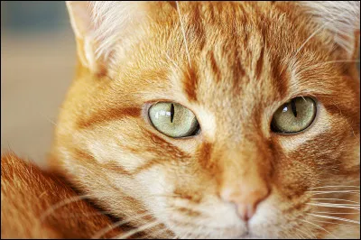 U ~ Un-�il : Quel &eacute;tait son ancien nom ?