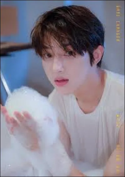 Quel est son nom anglais ?