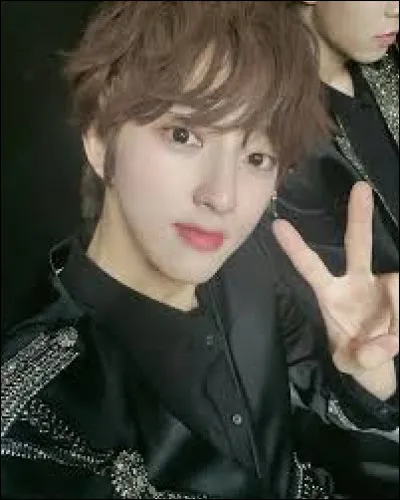 Dans quel film/s&eacute;rie n�a-t-il pas jou&eacute; ?