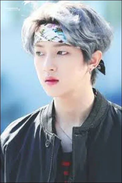 Quels sont ses mod&egrave;les ?