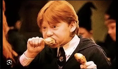 Qui vient chercher Harry quand il est prisonnier chez les Dursley ?