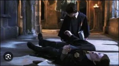 Quelle statue de sang le Basilic veut-il tuer ?