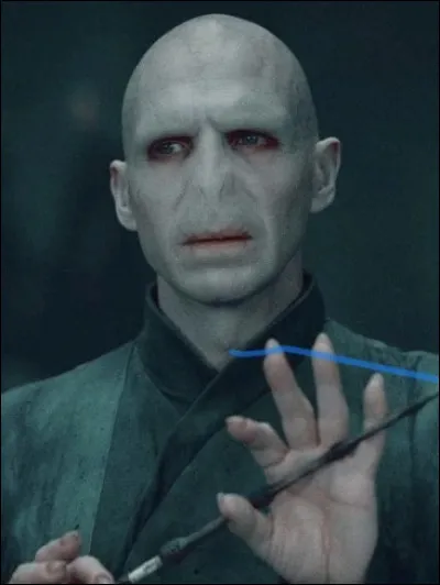 Comment s'appelait Voldemort ?