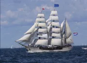 Quiz A ne pas confondre 2