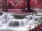 Quiz Culture g�n�rale - Info ou intox ?