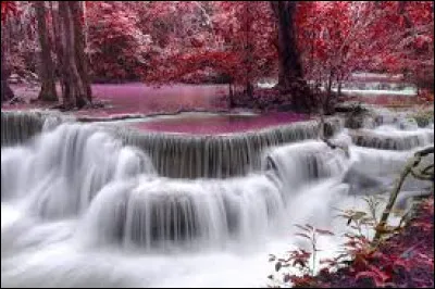 Les Vikings portaient des casques avec des cornes.