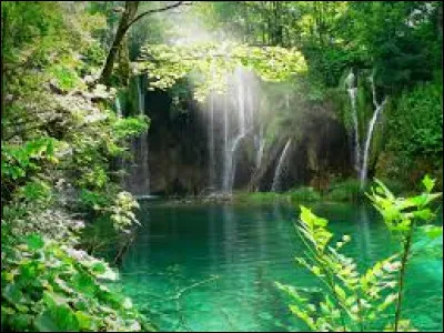 Les chameaux stockent l'eau dans leurs bosses.