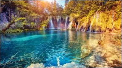 Shakespeare et Cervant&egrave;s sont morts le m&ecirc;me jour.