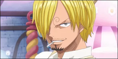 Quel est le r&ocirc;le de Sanji dans l'&eacute;quipage ?