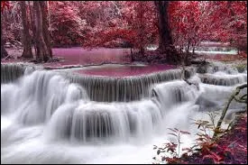 Les licornes sont l'animal national de l'&Eacute;cosse.