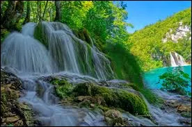 Les humains ont seulement cinq sens.