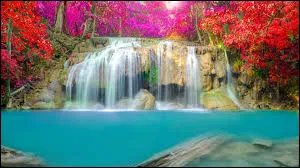 Les fourmis ne dorment jamais.