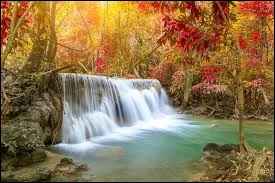 Le Sahara &eacute;tait autrefois une r&eacute;gion verte et fertile.